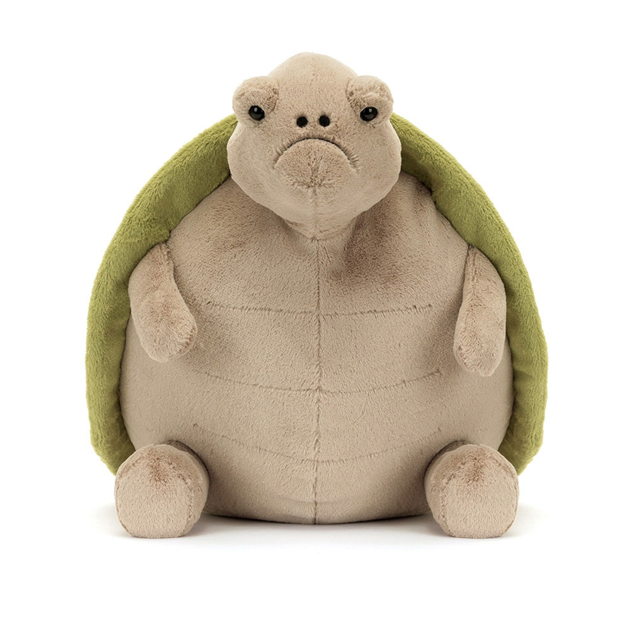 Timmy Turtle – The Gentle Ocean Friend 🐢