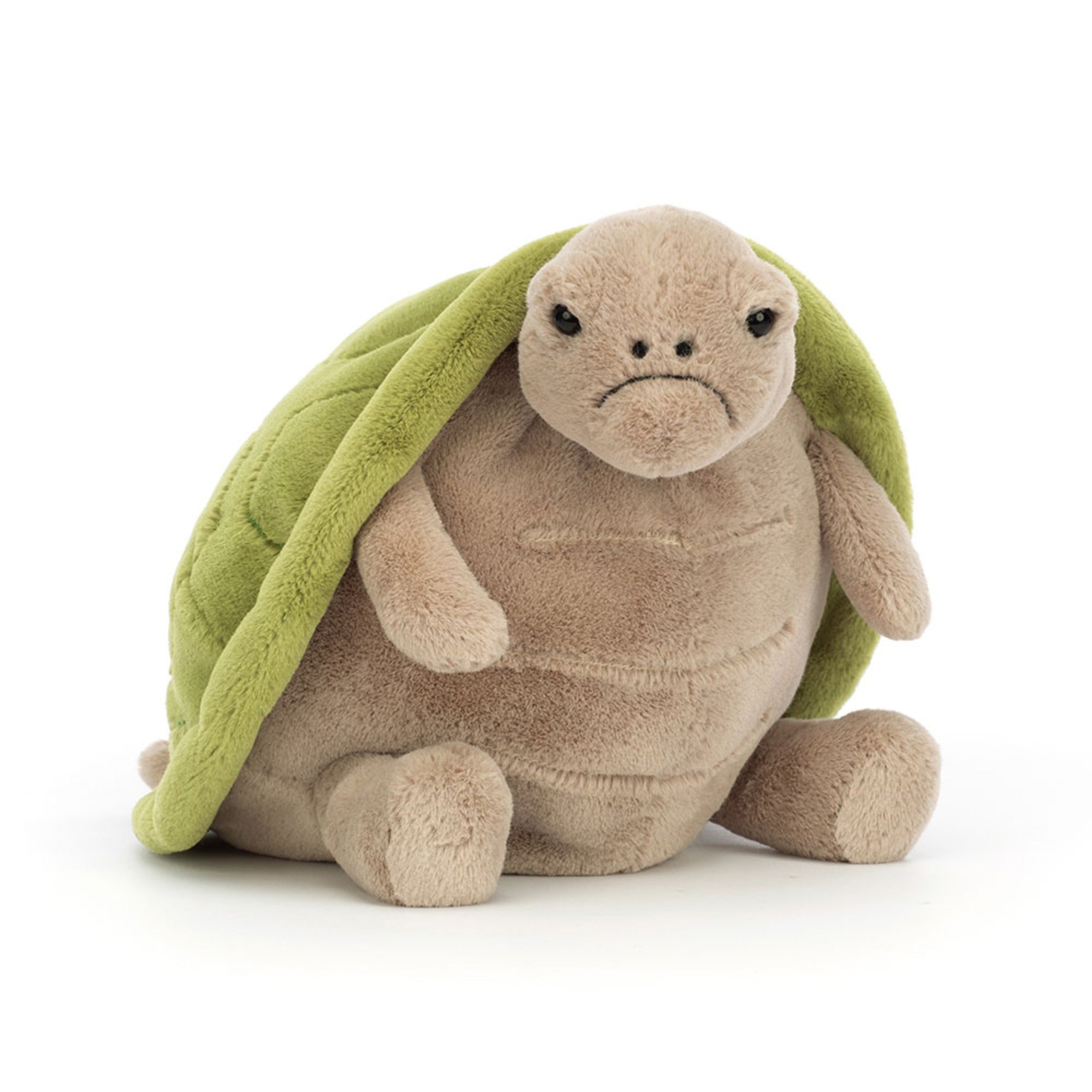 Timmy Turtle – The Gentle Ocean Friend 🐢