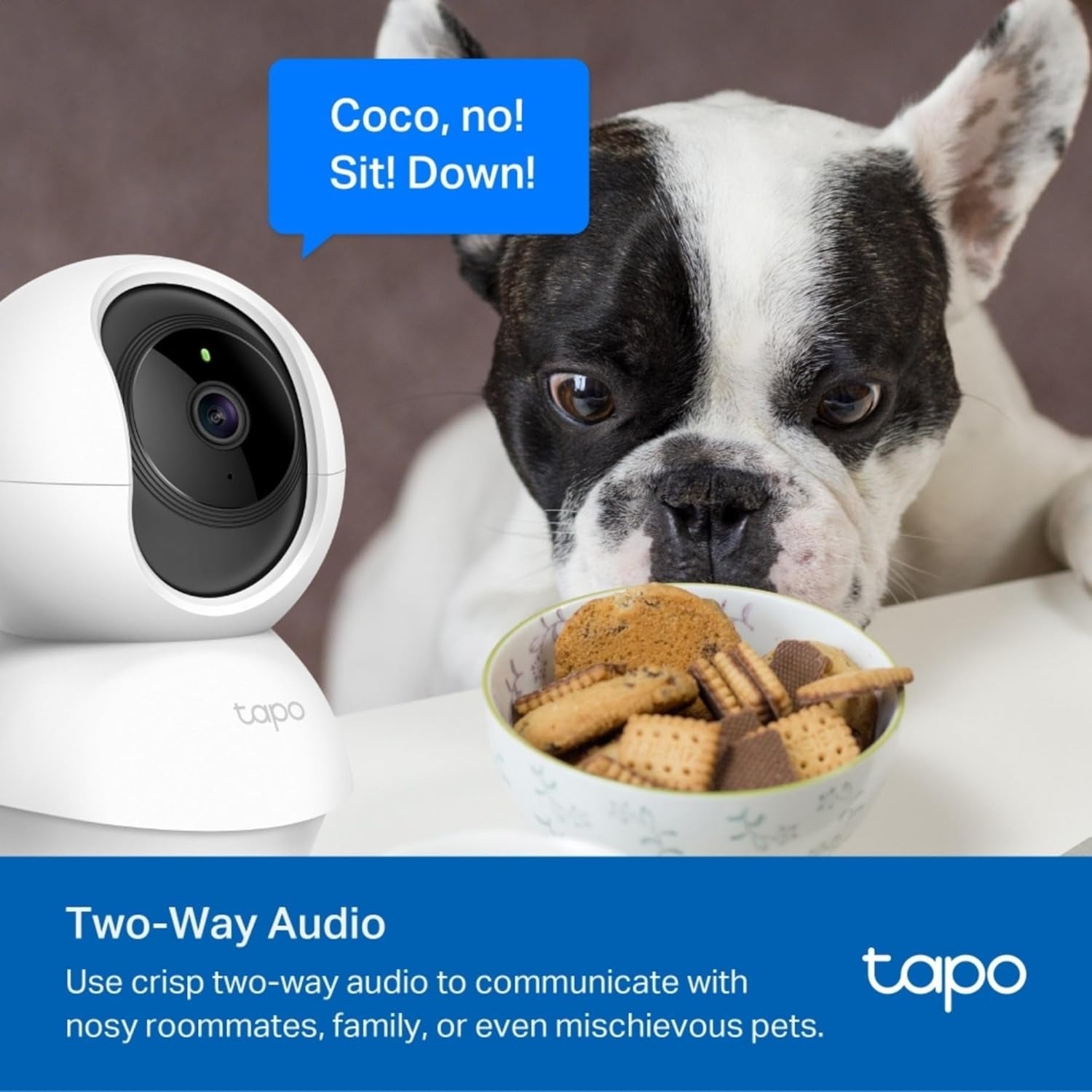 Tapo C210 2K 3MP Indoor WiFi Camera – Pan/Tilt, AI Motion Detection, Night Vision, Baby & Pet Monitor, Works with Alexa & Google