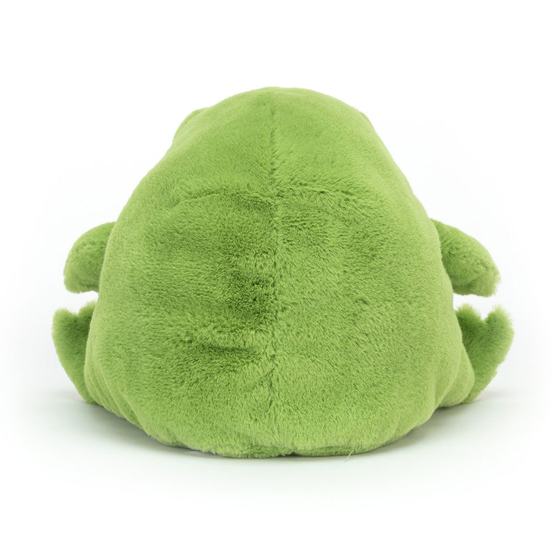Ricky Rain Frog – The Lovable Little Grump 🐸