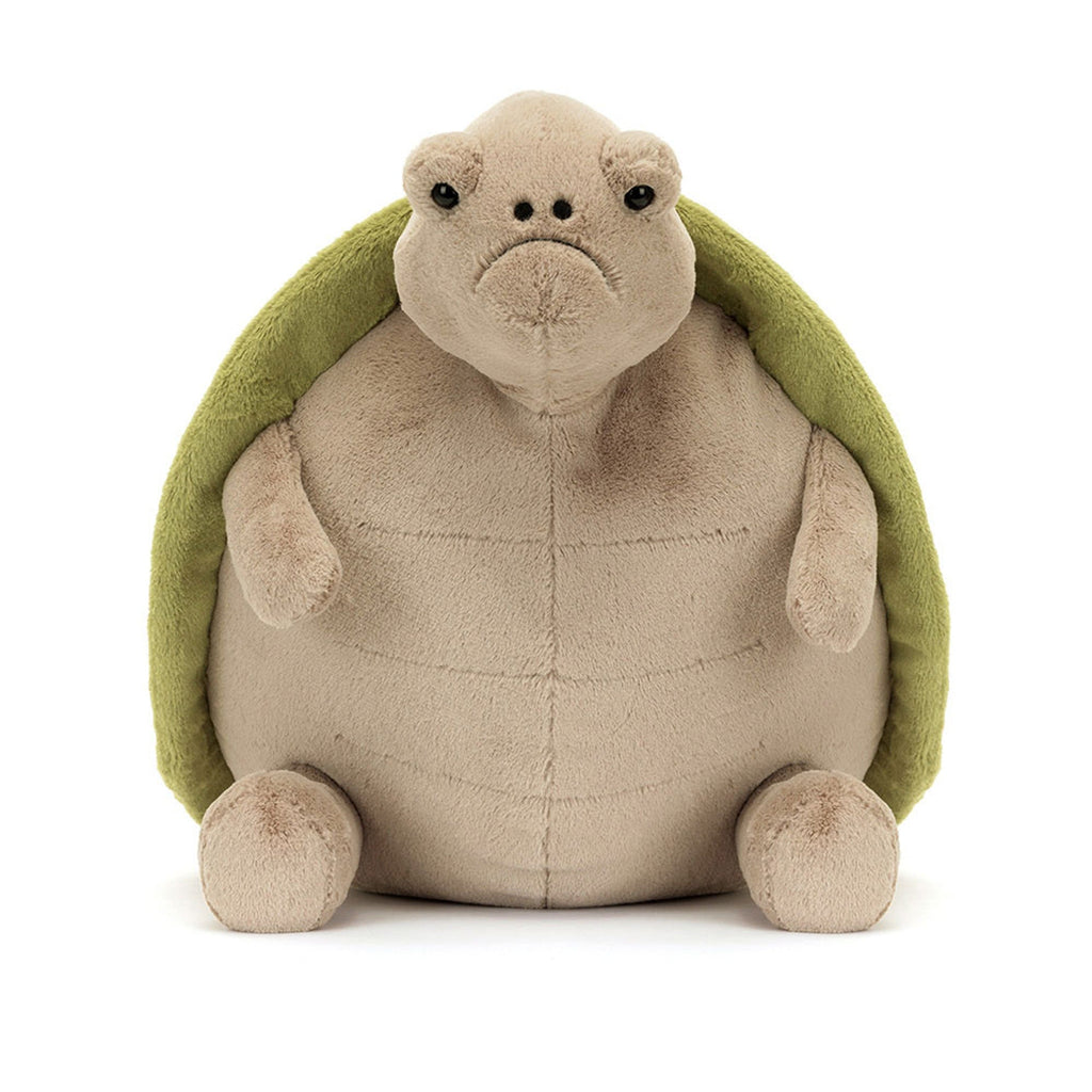 Timmy Turtle – The Gentle Ocean Friend 🐢