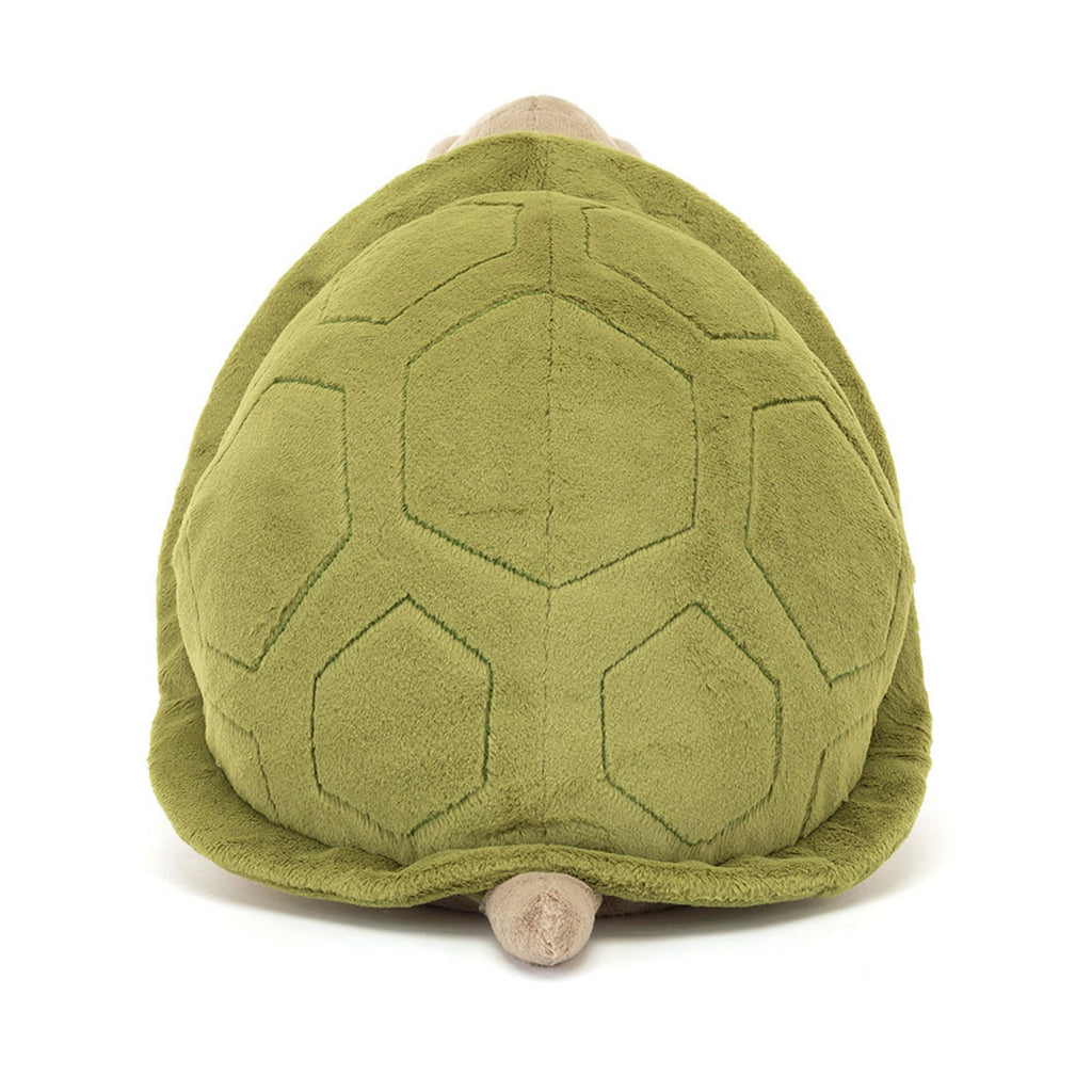 Timmy Turtle – The Gentle Ocean Friend 🐢
